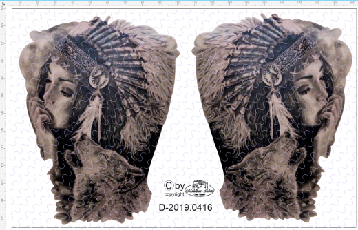 D-2019.0416 Decalsatz Zugmaschine Indianerin mit Wolfskopf - 1 Stk - 1:87