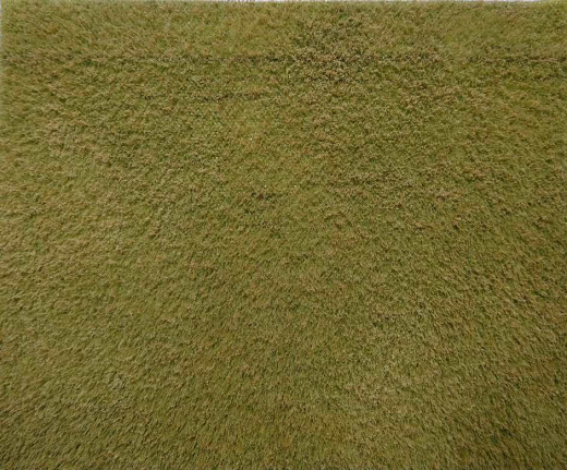 Polak 5835 Kornfeld reif - 25 x 20 cm