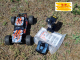 gebrauchter Brushless RC 4WD Sand Buggy 1:10 komlpett RTR