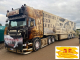 Tekno 83112 Scania R Topline Kühlkoffer Sattelzug Maik Terpe Tätowieren gegen Krebs - 1:50
