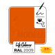 Elita LC072009-GL-015 Life Colours Verkehrsorange, RAL 2009 glänzend 15 ml