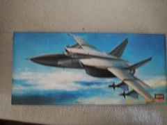Hasegawa 02806 MIG-25 Foxbeat