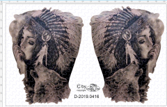 D-2019.0416 Decalsatz Zugmaschine Indianerin mit Wolfskopf - 1 Stk - 1:87