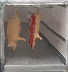 DD-333 - 3 D Druck Zubehör Schweinehälften Ladegut 2 Stück (1 Schwein halbiert) - 1:87