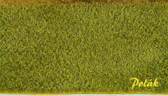 Polak 5825 Mohnfeld mit Kapseln - 35 x 20 cm