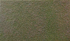 Polak 5828 Blühendes Feld rot - 35 x 20 cm