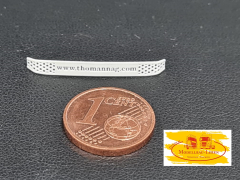 DD-459 - 3 D Druck Zubehör Scheibenschutz Steinschlaggitter Renault Vers. 2 Thomann - 1 Stk - 1:87