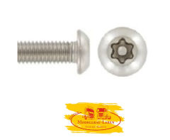 Linsenschrauben DIN 7985 TORX Edelstahl V2A M2 x 4mm - 10 Stück