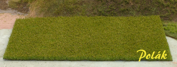 Polak 5884 Weide - Mittelstruktur - vertrocknetes Gras - 35 x 20 cm