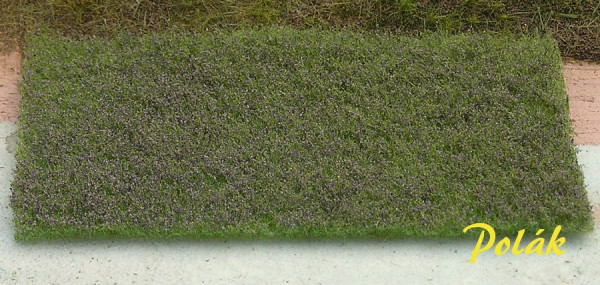 Polak 5973 Blumenwiese niedrig - violett - 17,5x13cm